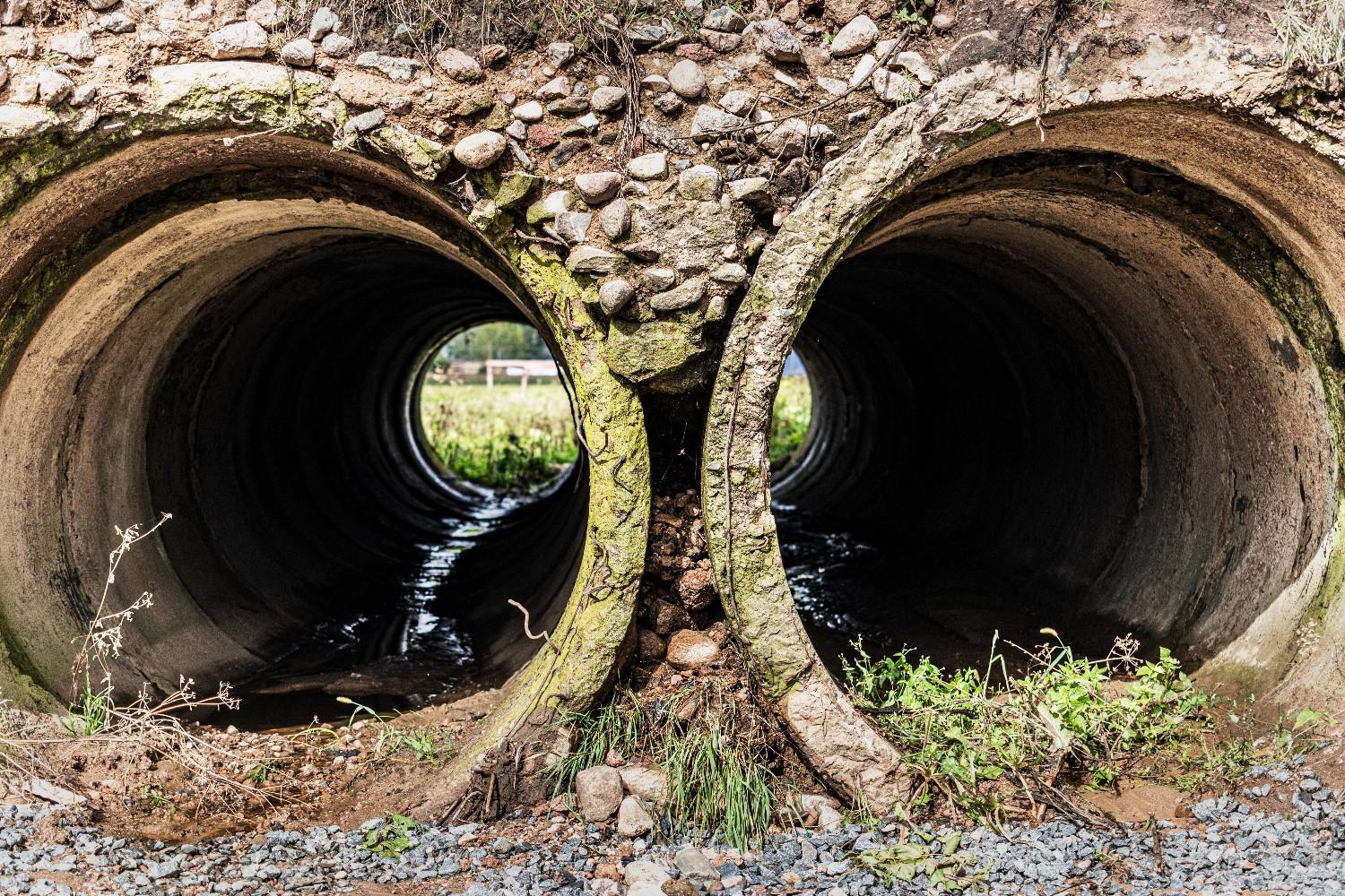 Sind Baumwurzeleinwüchse in Abwasserleitungen ein häufiges Problem in älteren Stadtteilen von Hannover?